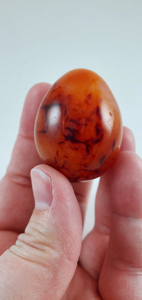 Carnelian Egg