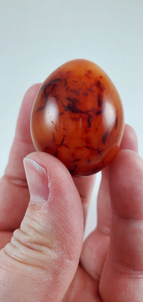 Carnelian Egg