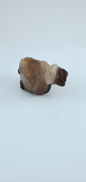 Gobi Agate #1