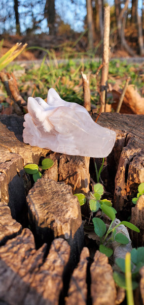 Agate Druzy Dragon Head