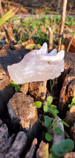 Agate Druzy Dragon Head