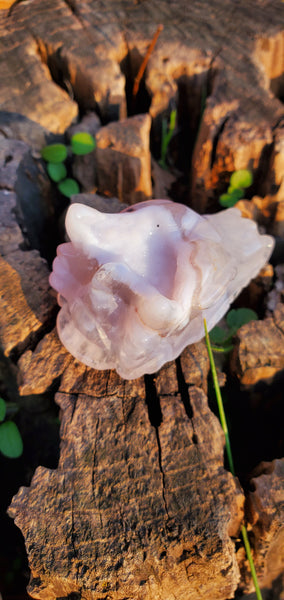 Agate Druzy Dragon Head