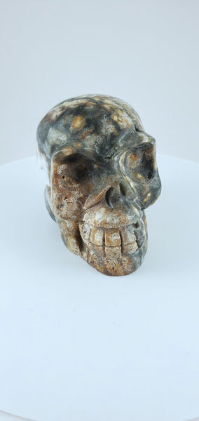 Ocean Jasper Skull