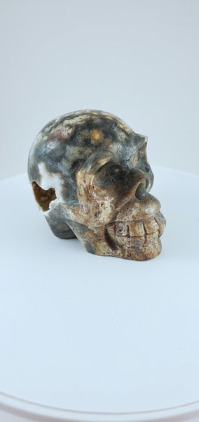 Ocean Jasper Skull