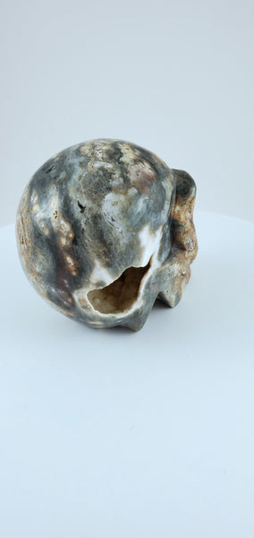 Ocean Jasper Skull