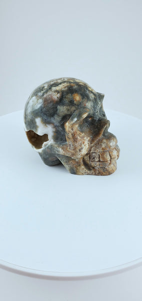 Ocean Jasper Skull