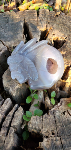 Agate Druzy Indian Head