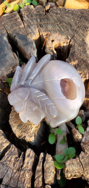 Agate Druzy Indian Head