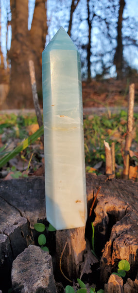 Caribbean Calcite Tower