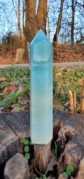 Caribbean Calcite Tower