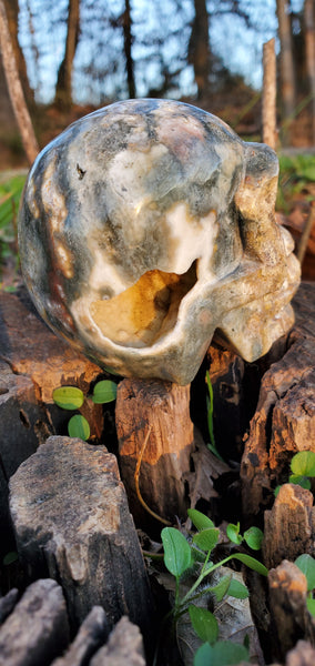 Ocean Jasper Skull