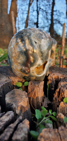 Ocean Jasper Skull