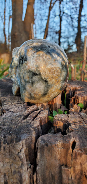 Ocean Jasper Skull