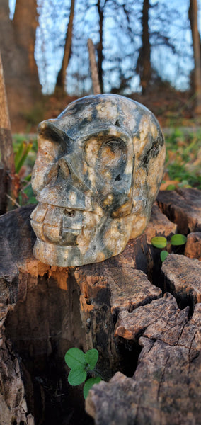 Ocean Jasper Skull