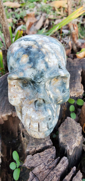 Ocean Jasper Skull